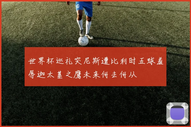 世界杯巡礼突尼斯遭比利时五球羞辱迦太基之鹰未来何去何从